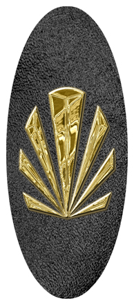 Gold Sunburst Shimmer Black